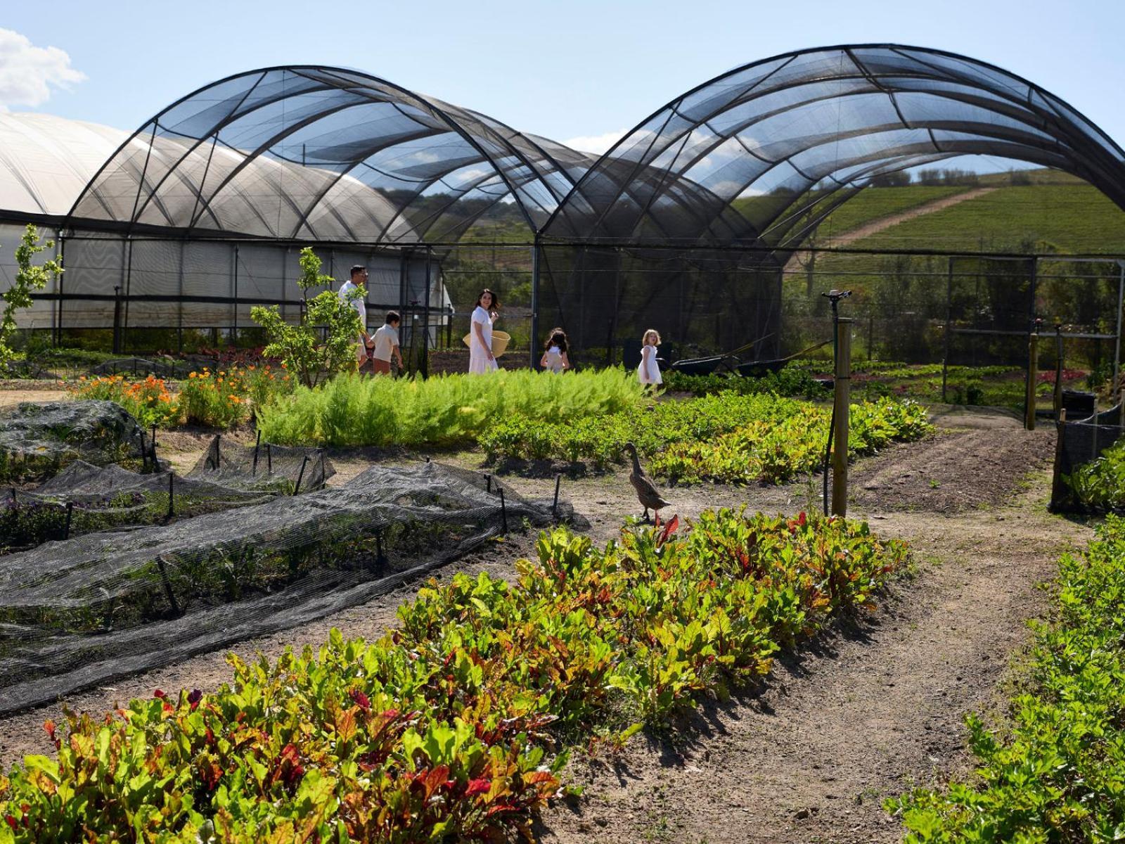 Spier Hotel And Wine Farm Stellenbosch Exterior photo