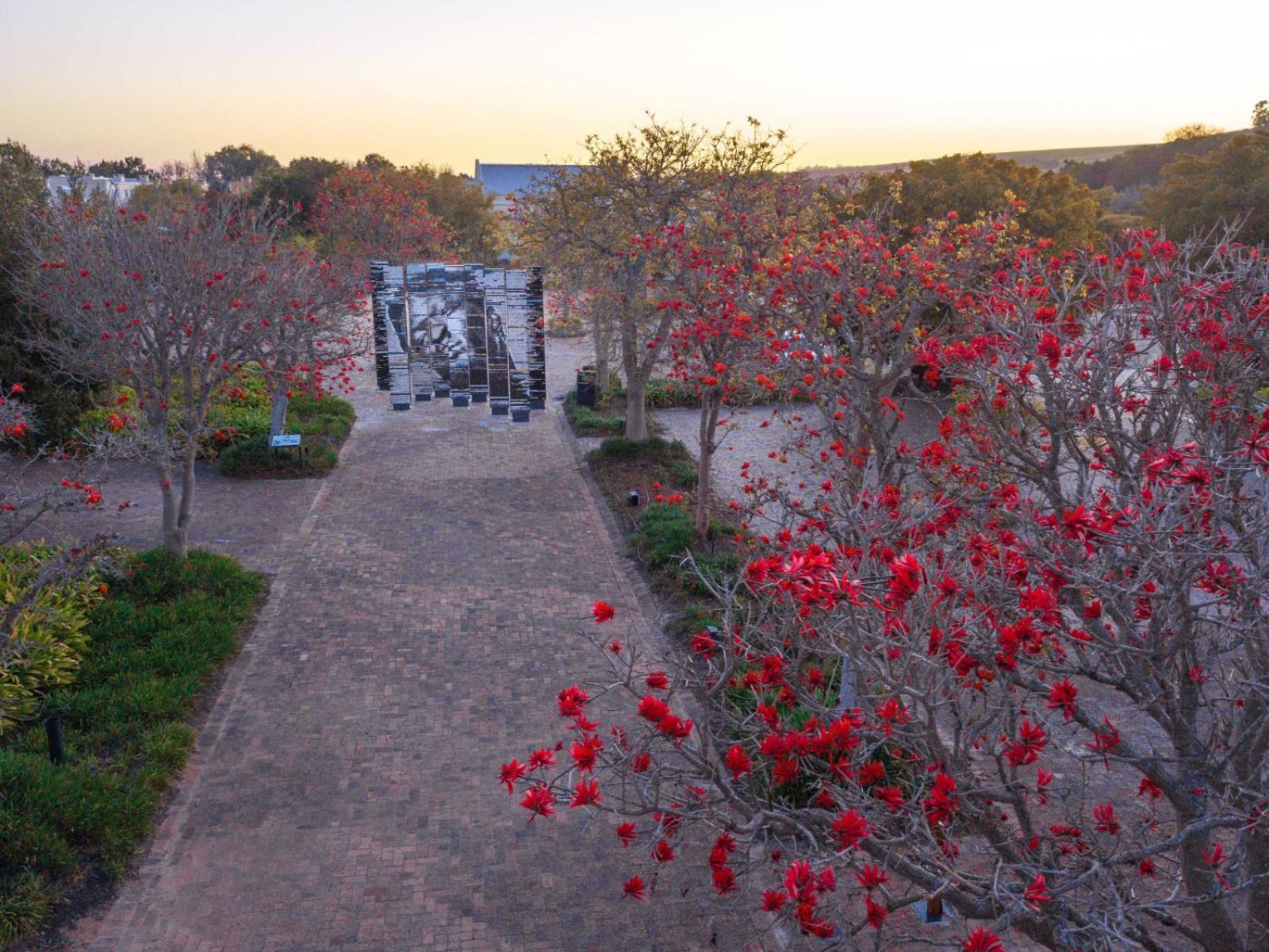 Spier Hotel And Wine Farm Stellenbosch Exterior photo