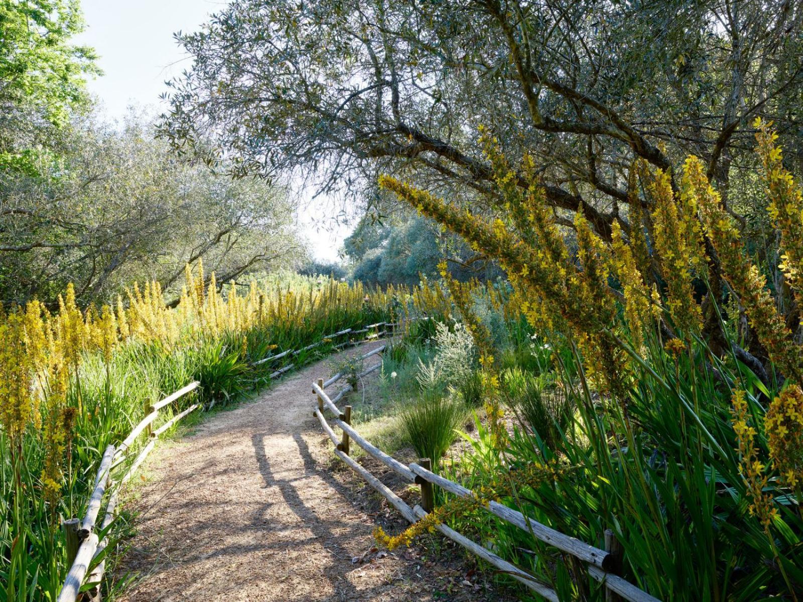 Spier Hotel And Wine Farm Stellenbosch Exterior photo